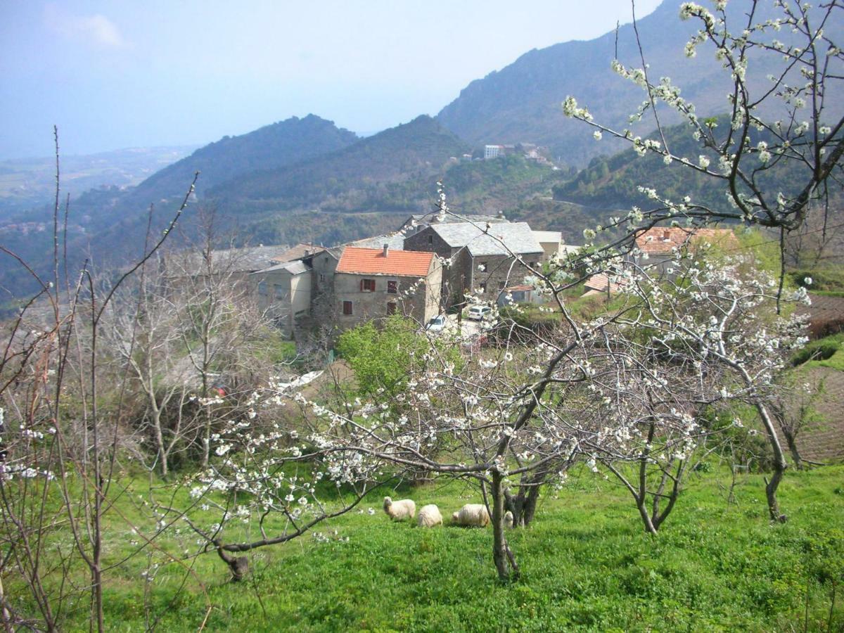 Sole E Ventu 30Qm Daire San-Giovanni-di-Moriani Dış mekan fotoğraf